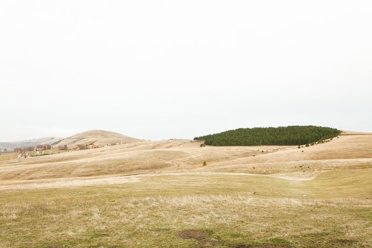 Goldpine Apartments Zlatibor Zewnętrze zdjęcie